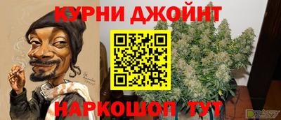 эйфоретик Гудермес