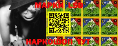 эйфоретик Гудермес
