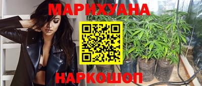 эйфоретик Гудермес