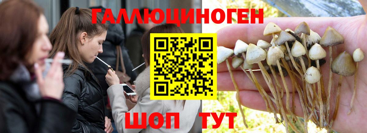 Псилоцибиновые грибы MAGIC MUSHROOMS  Вход с VPN  Троицк  Псилоцибиновые грибы ЛСД 